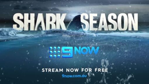 ზვიგენების სეზონი / Shark Season