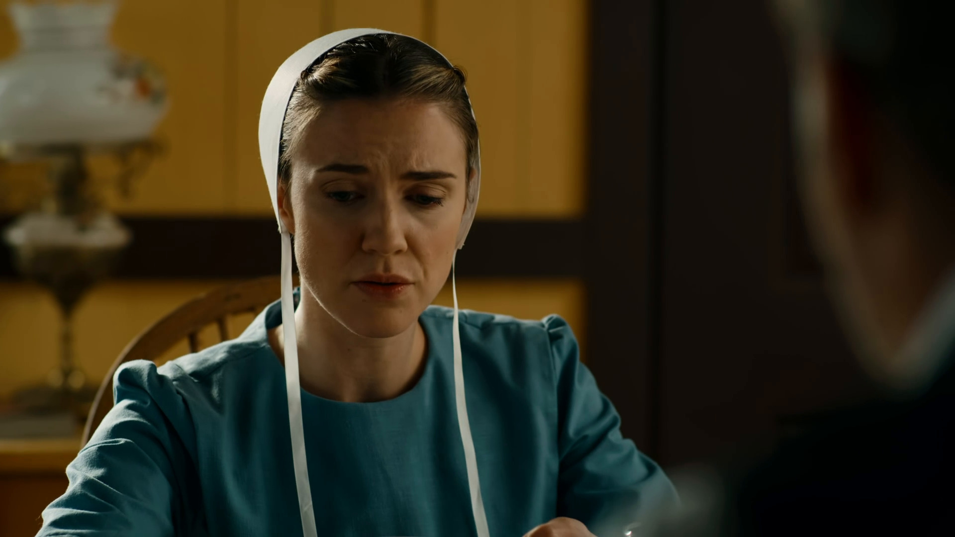 ამიშის გატაცება / Amish Abduction