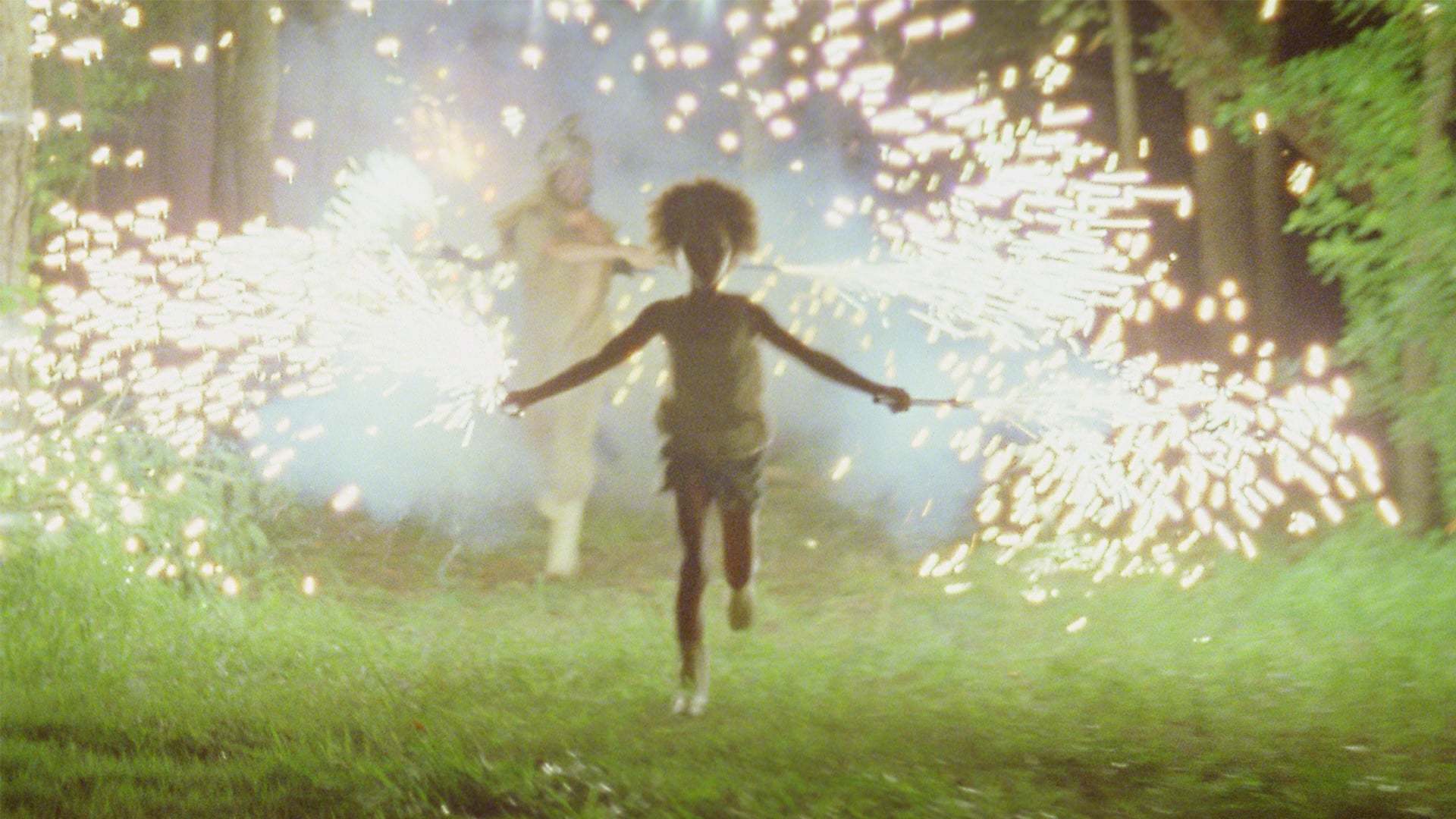 ველური სამხრეთის ცხოველები / Beasts of the Southern Wild