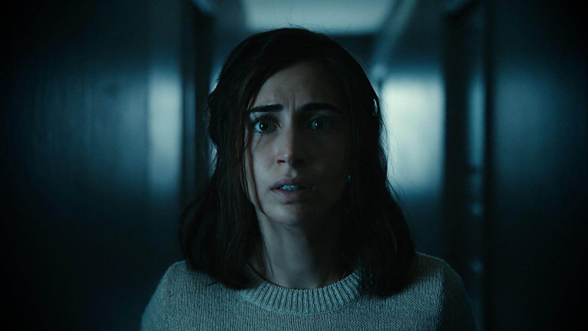 სხვა რაკურსი / The Evil Next Door
