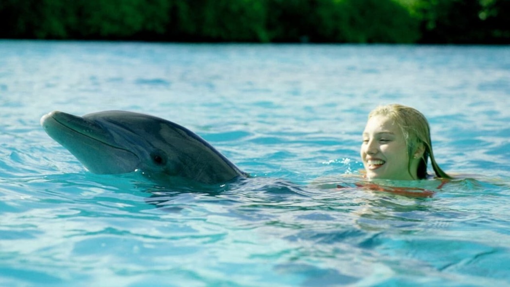 დელფინის კუნძული / Dolphin Island