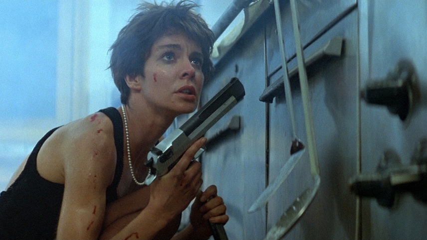 ნიკიტა / La Femme Nikita