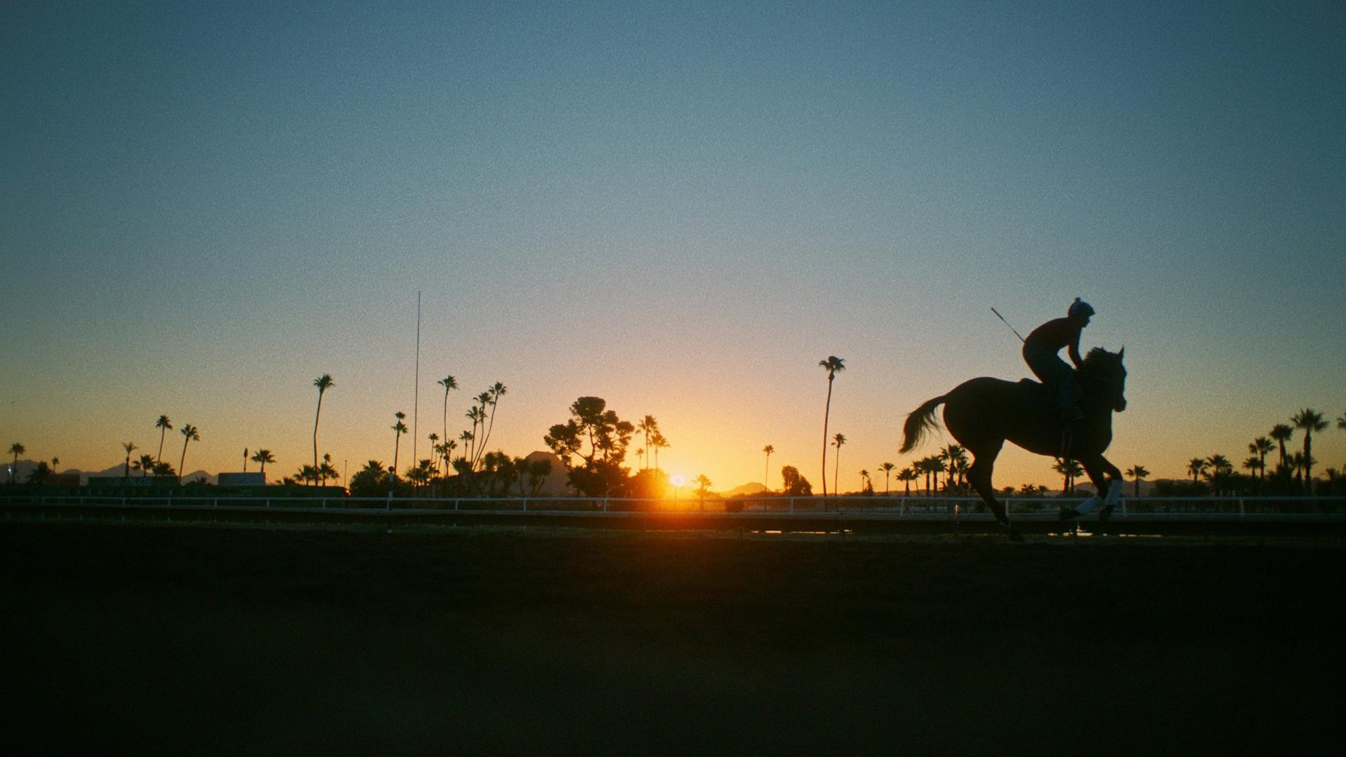 ჟოკეი / Jockey