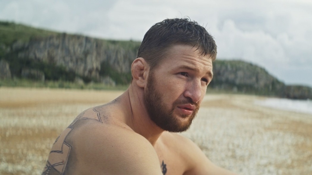 Bullterrier / Бультерьер