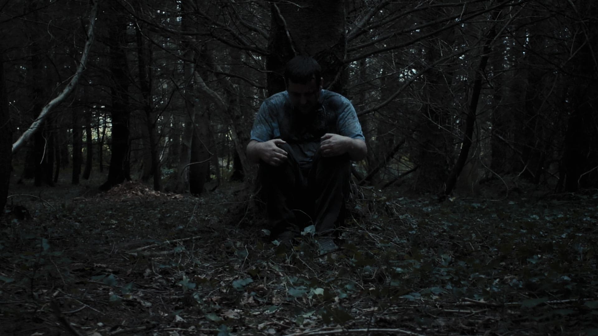 შიშის გამოვლენა / Bring Out the Fear