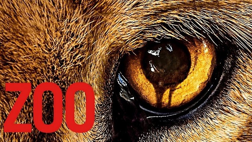 სამხეცე / Zoo