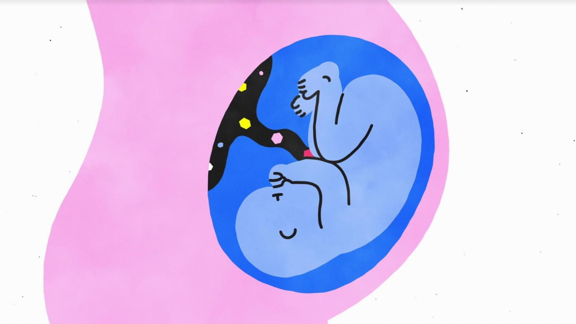 Sex, Explained / Чтобы вы поняли... секс