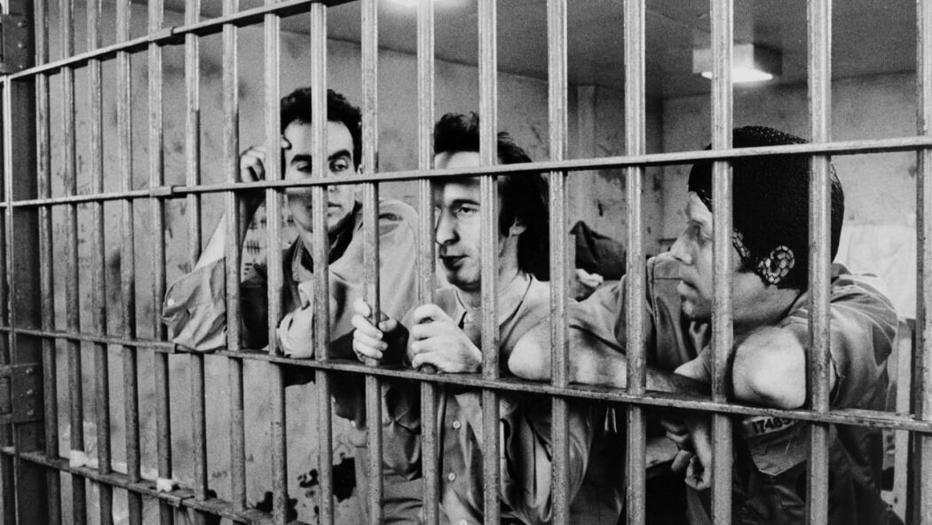კანონგარეშე / Down by Law