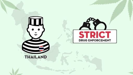 Highland: Thailand's Marijuana Awakening