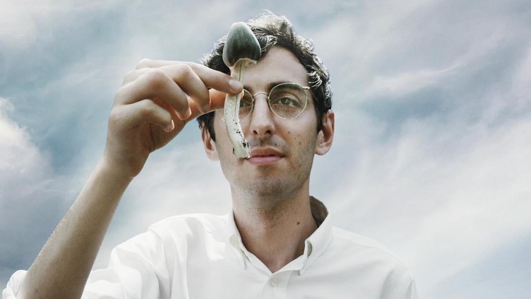 ჰამილტონის ფარმაკოპია / Hamilton's Pharmacopeia