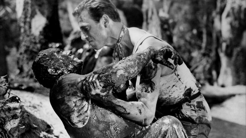 შიშის საფასური / The Wages of Fear
