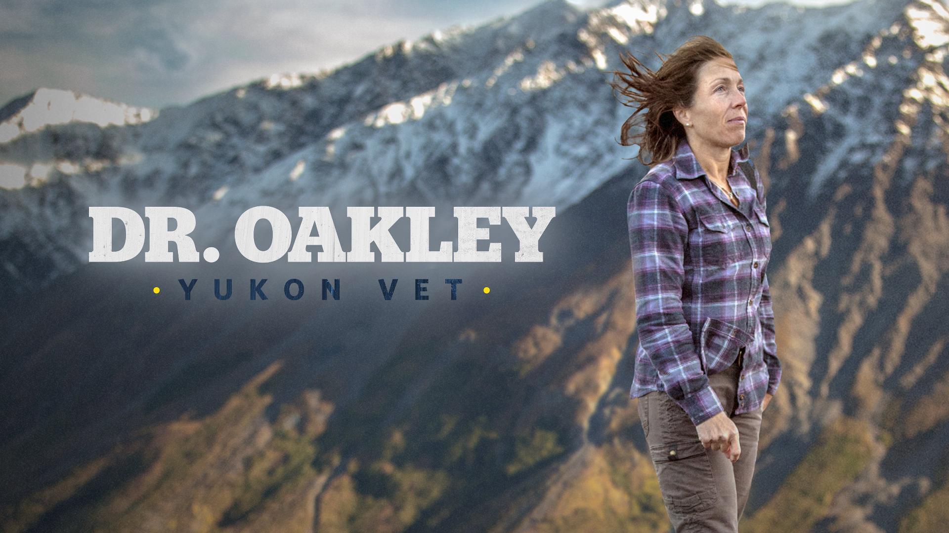 დოქტორ ოკლი, ვეტერინარი იუკონიდან / Dr. Oakley, Yukon Vet