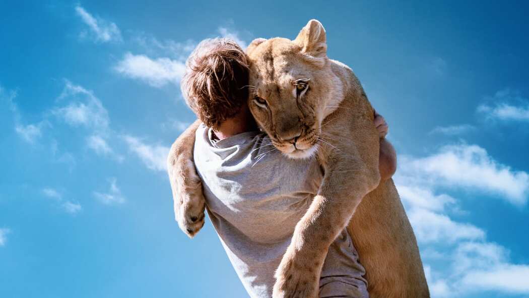 Beast Buddies