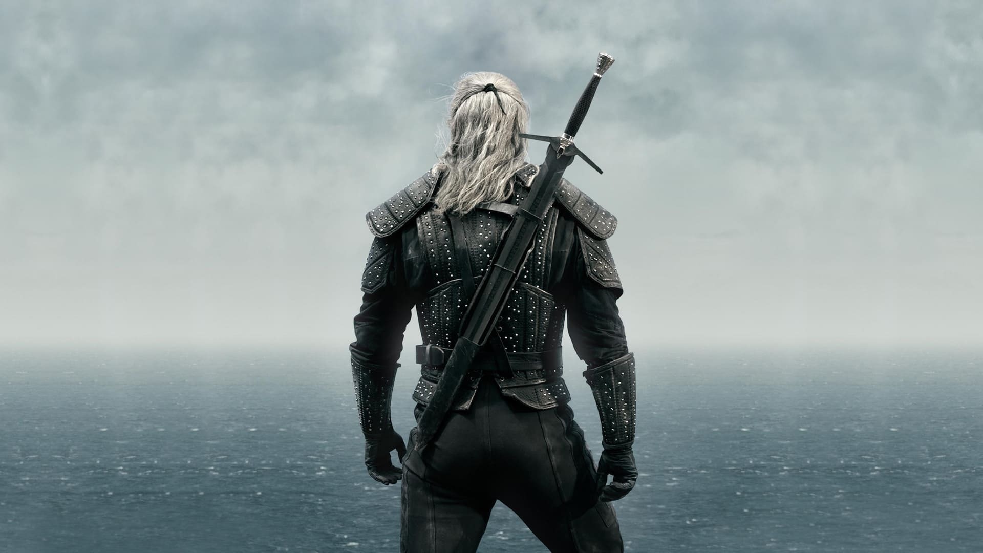 მხედვარი / The Witcher