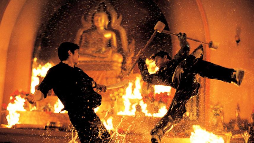 მცველი / The Protector