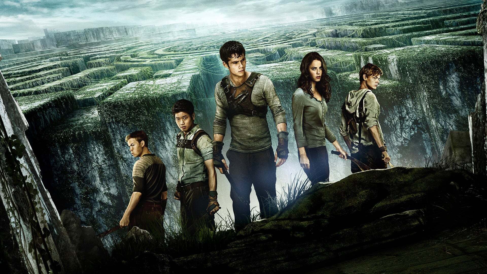ლაბირინთში მორბენალი / The Maze Runner