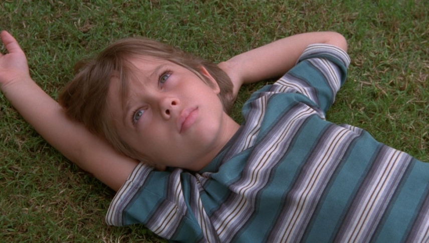მოზარდი / Boyhood