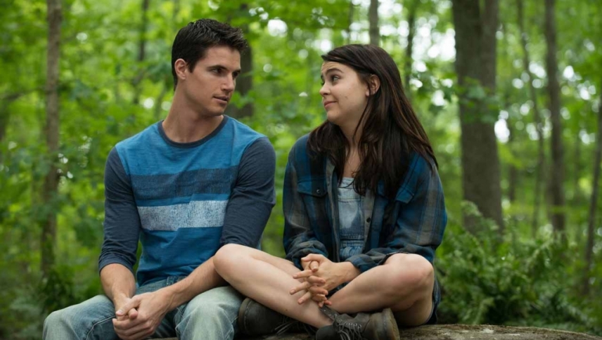 დაფი / The DUFF