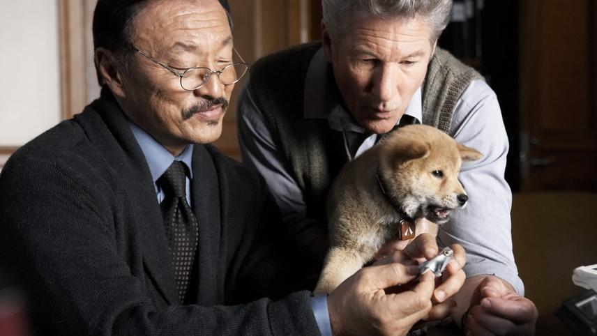 ისტორია ძაღლ ჰაჩიკოზე / Hachi: A Dog's Tale