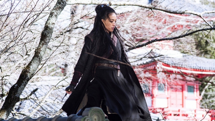 მკვლელი / The Assassin