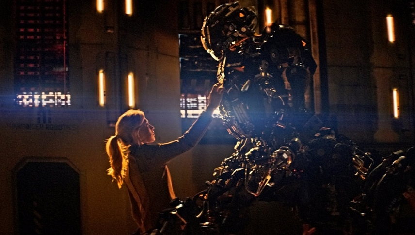 მოკვლის განკარგულება / Kill Command