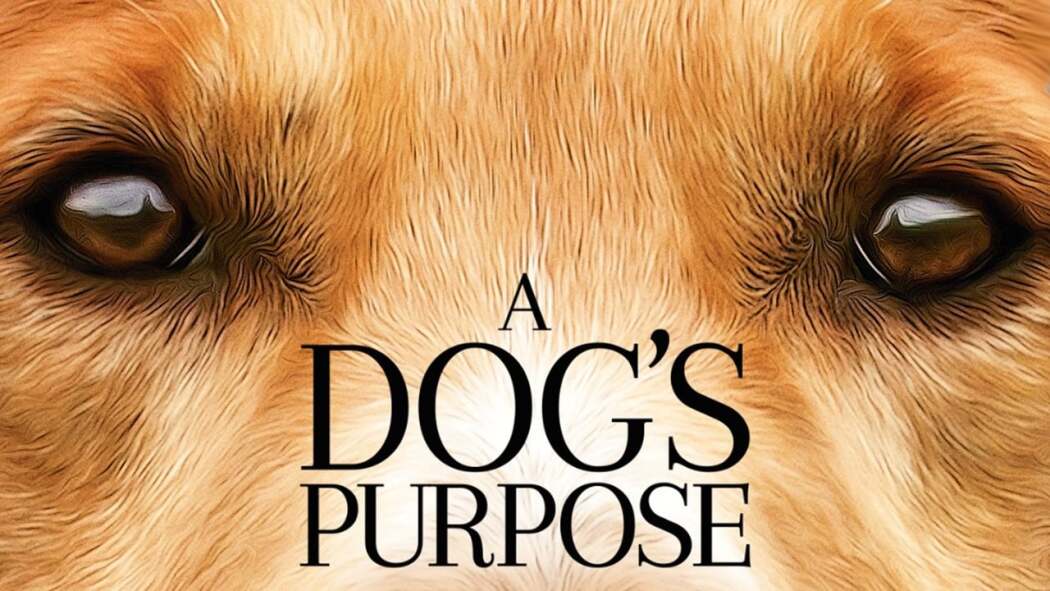 ძაღლური ცხოვრება / A Dog's Purpose