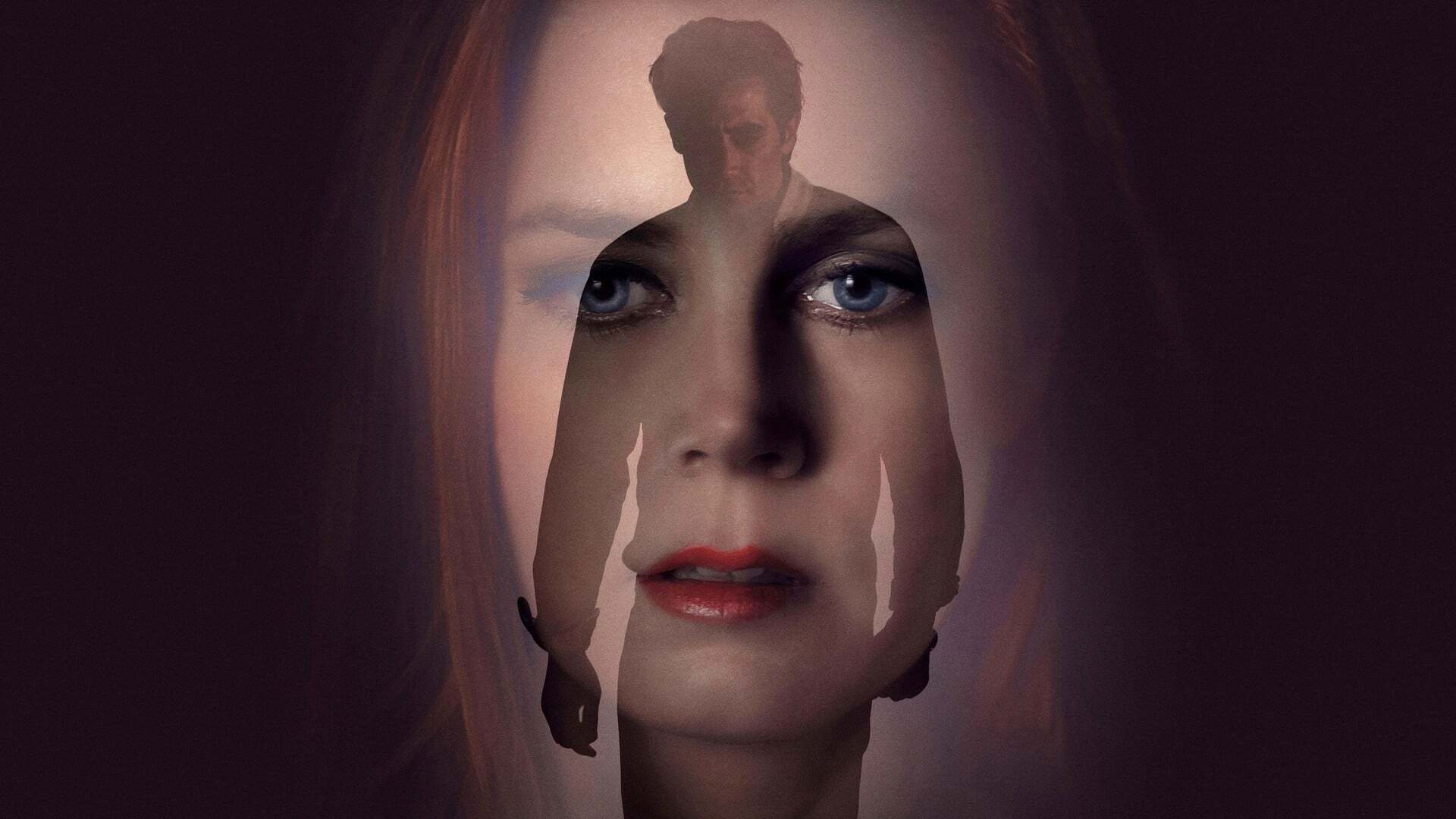 ღამის ცხოველები / Nocturnal Animals