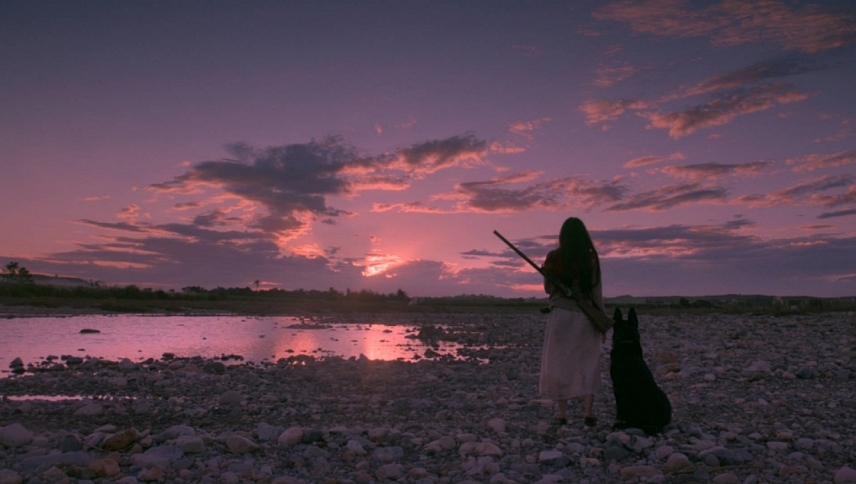 საფანტი / Birdshot