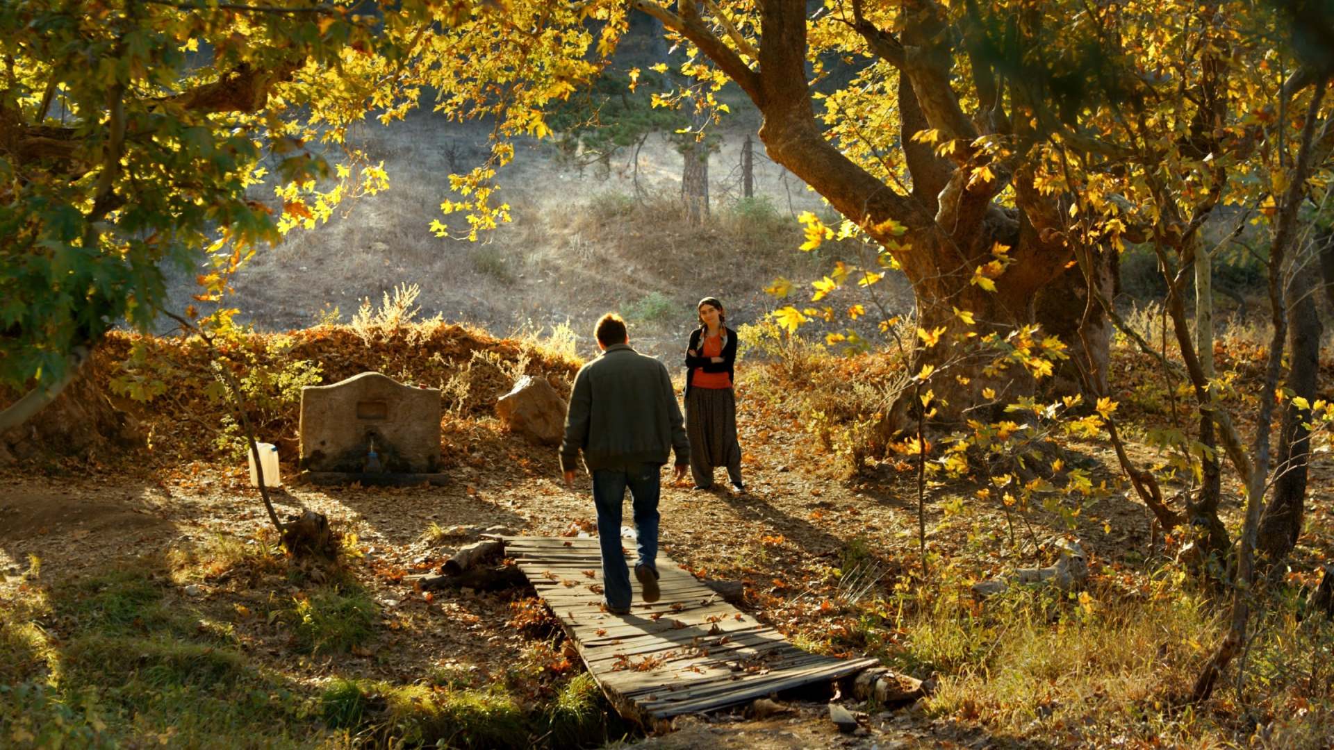ველური მსხლის ხე / The Wild Pear Tree