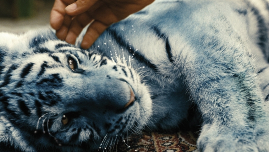 ლურჯი ვეფხვი / The Blue Tiger