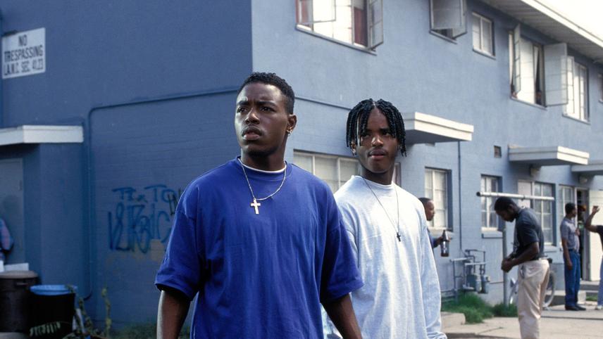 საზოგადოების საფრთხე / Menace II Society