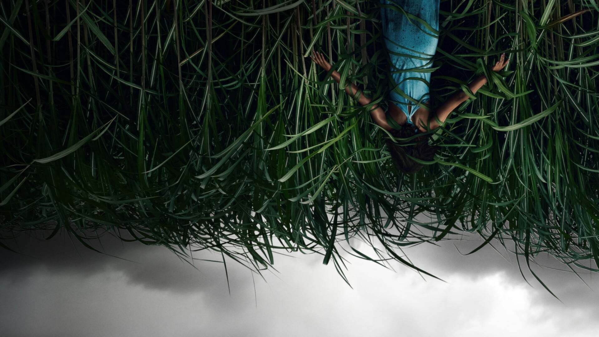 მაღალ ბალახში / In the Tall Grass