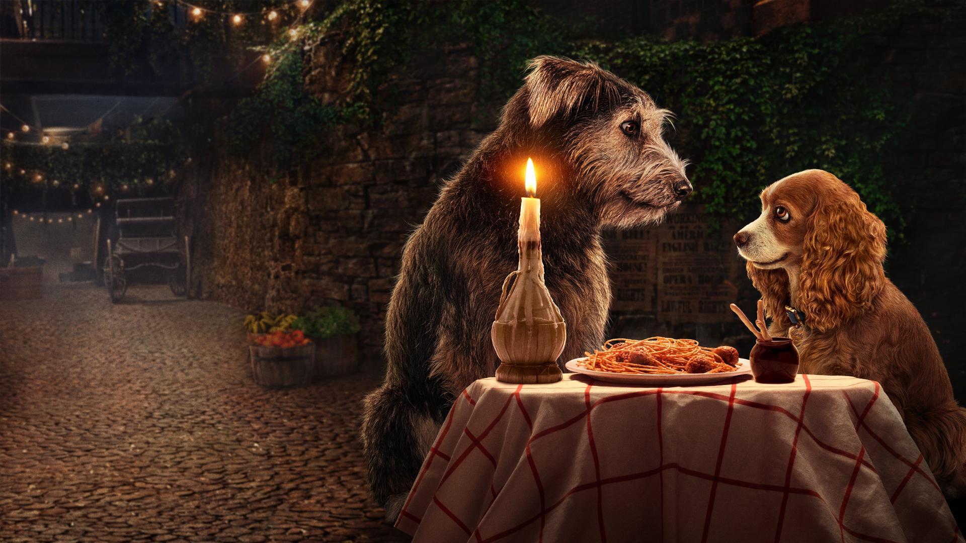 ლედი და მაწანწალა / Lady and the Tramp