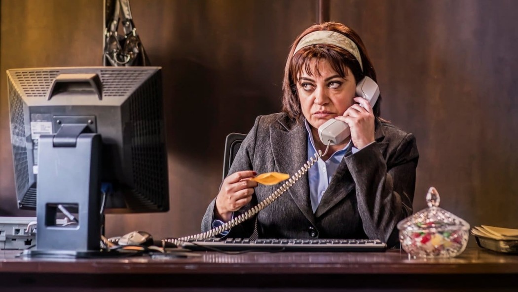 მდივანი ამალია / Amalia the Secretary
