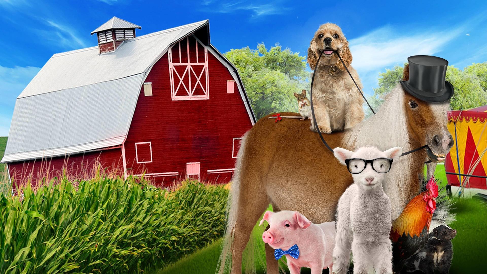 ძაღლისა და პონის შოუ / A Dog and Pony Show