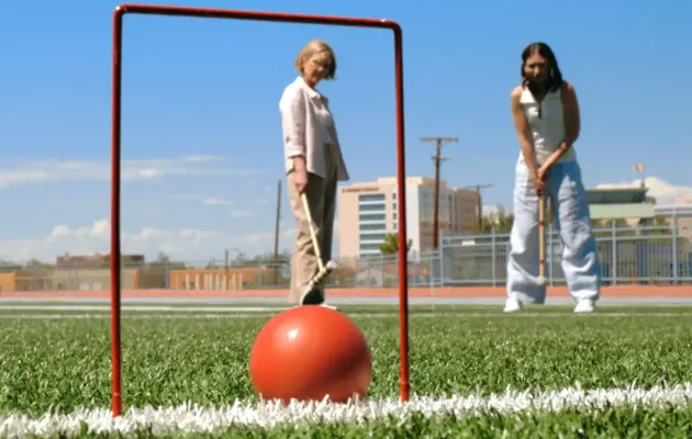 მრავალი (პლურიბუსი) (2025)