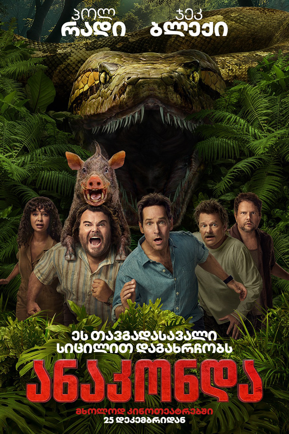 ანაკონდა / Anaconda ( ქართულად )