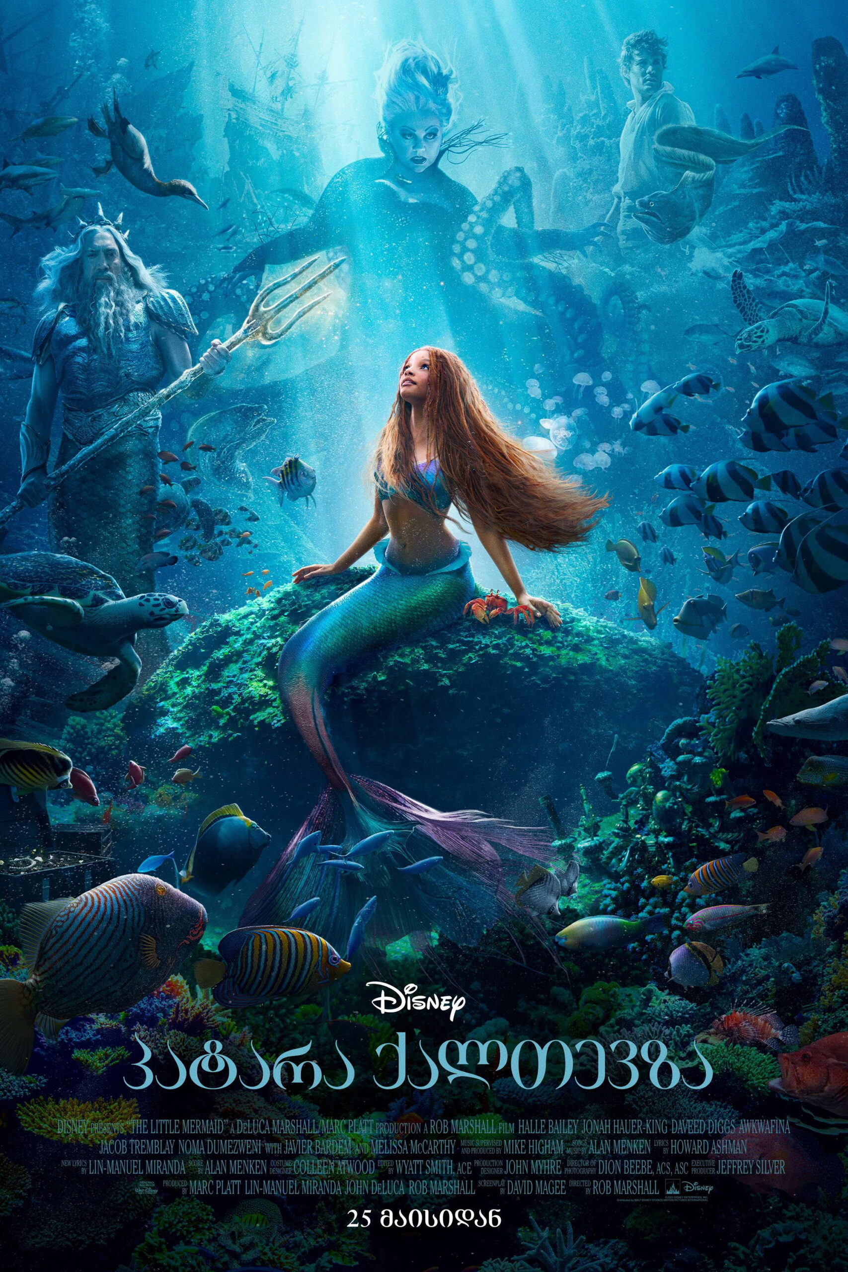 პატარა ქალთევზა / The Little Mermaid ( ქართულად )