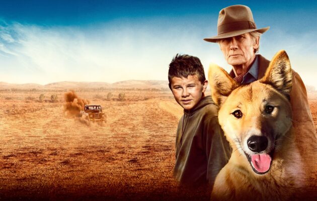 ბაკლის შანსი / Buckley