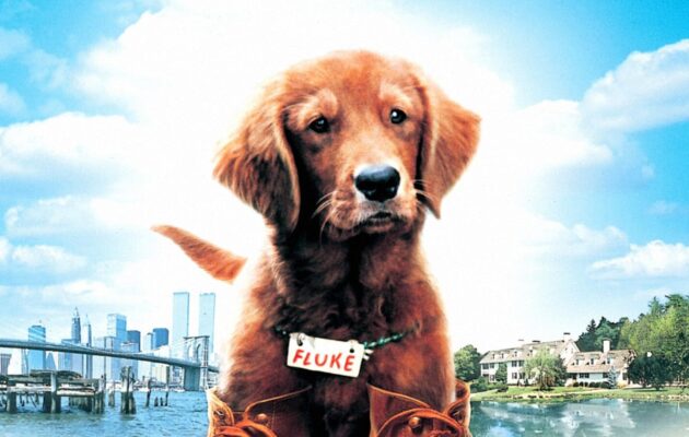 ფლუკი / Fluke ( ქართულად )