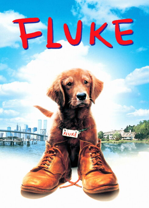 ფლუკი / Fluke ( ქართულად )