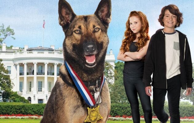 მაქსი 2 : თეთრი სახლის გმირი / Max 2: White House Hero ( ქართულად )