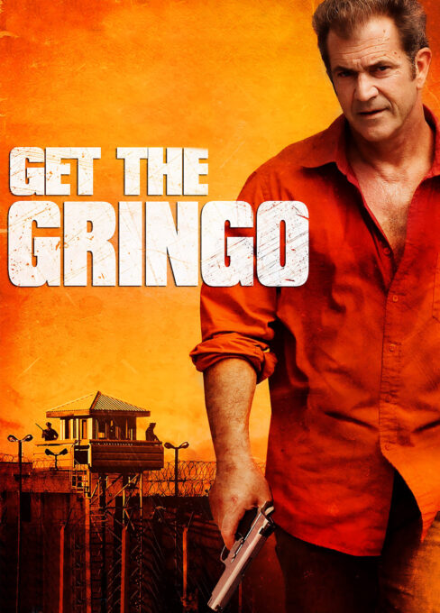 დაიჭირე გრინგო / Get the Gringo ( ქართულად )
