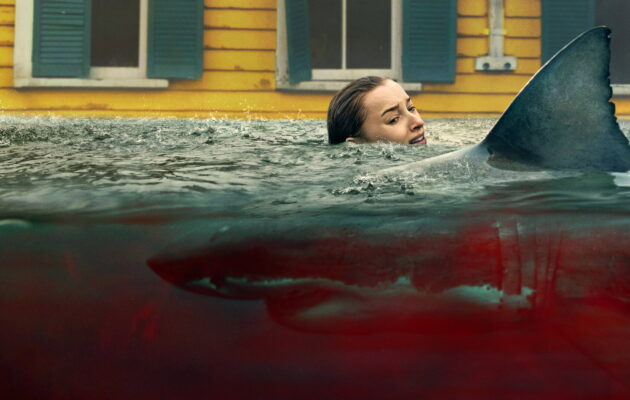 გაცურე / Thrash ( ქართულად )