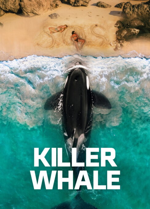 მკვლელი ვეშაპი (2026) Killer Whale / ქართულად, ინგლისურად, რუსულად
