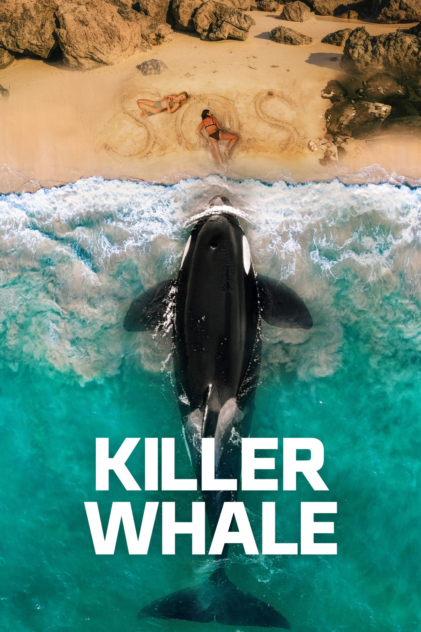 მკვლელი ვეშაპი (2026) Killer Whale / ქართულად, ინგლისურად, რუსულად