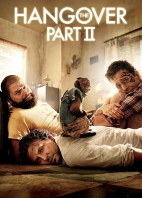 წვეულება ვეგასში 2 (2011) The Hangover Part II / ქართულად, ინგლისურად, რუსულად