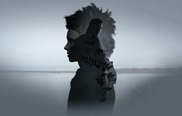 გოგონა დრაკონის ტატუთი (2011) The Girl with the Dragon Tattoo / ქართულად, ინგლისურად, რუსულად