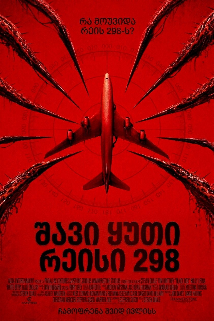 შავი ყუთი: რეისი 298 / Black Box ( ქართულად )