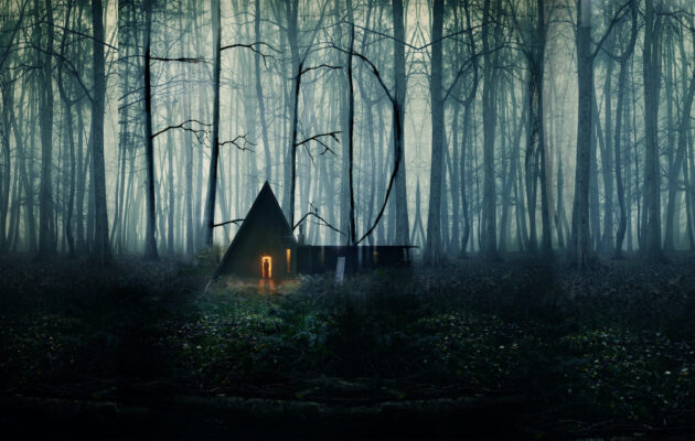 გრეტელი და ჰენზელი (2020) Gretel & Hansel